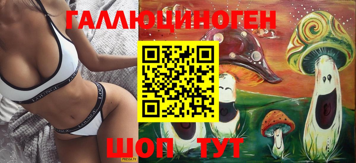 Псилоцибиновые грибы Cubensis  Вход с VPN  Назрань 